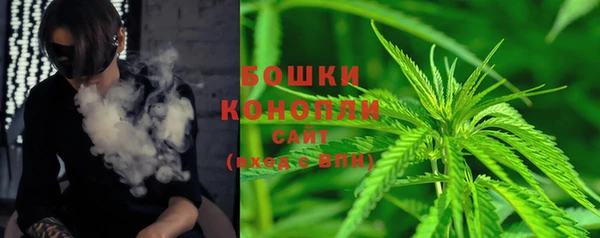 ПСИЛОЦИБИНОВЫЕ ГРИБЫ Алзамай