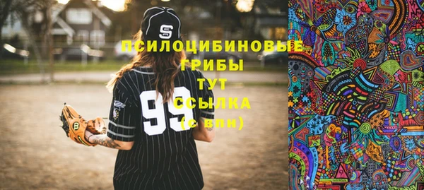 ПСИЛОЦИБИНОВЫЕ ГРИБЫ Алзамай