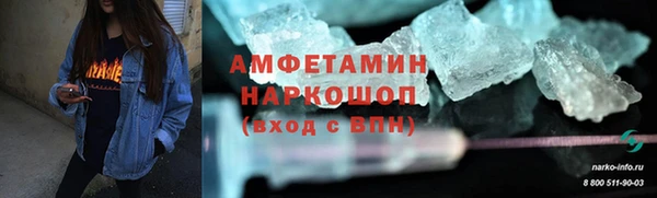 хмурый Алексин