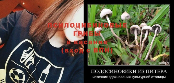 ПСИЛОЦИБИНОВЫЕ ГРИБЫ Алзамай