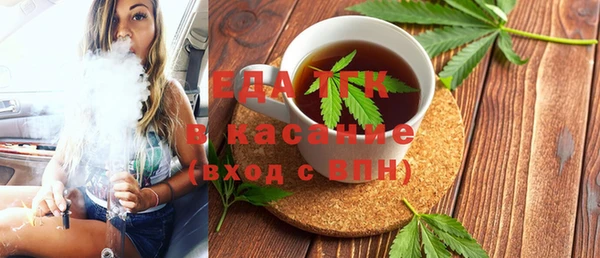 хмурый Алексин