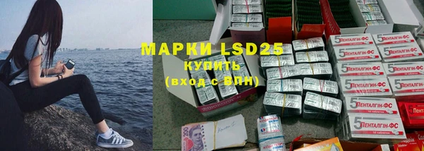 ПСИЛОЦИБИНОВЫЕ ГРИБЫ Алзамай