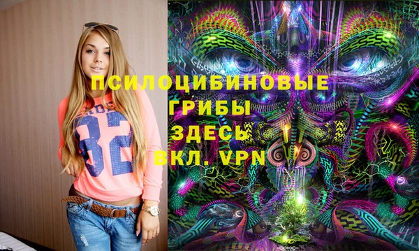 хмурый Алексеевка